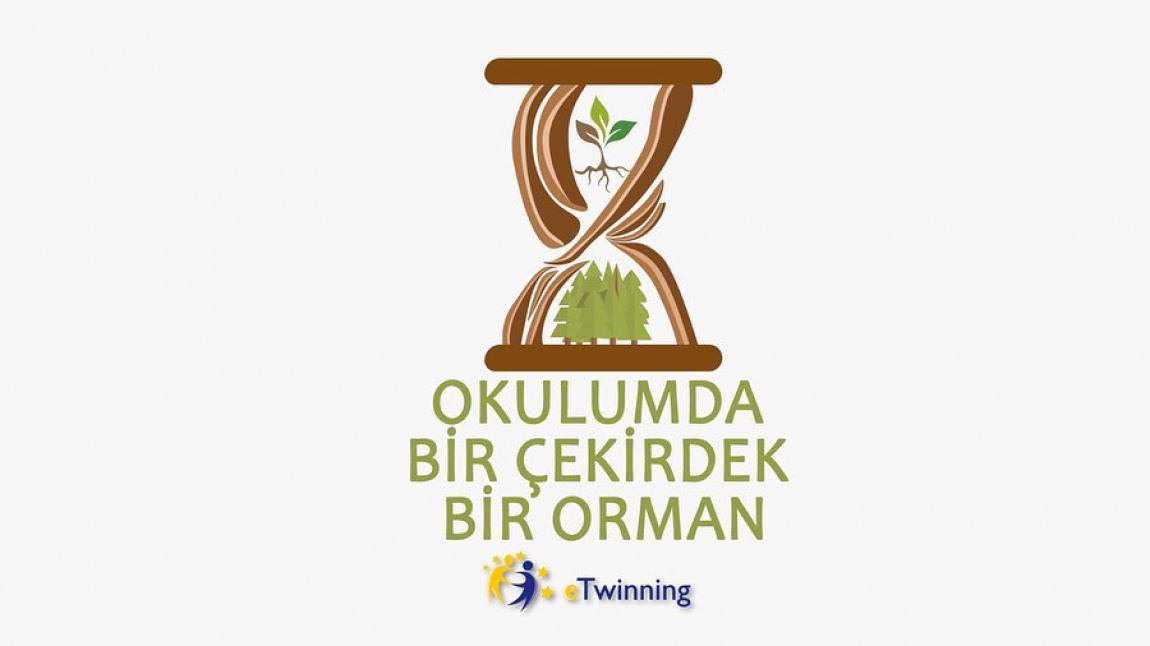 e-Twinning Logo Tasarım Anketi 